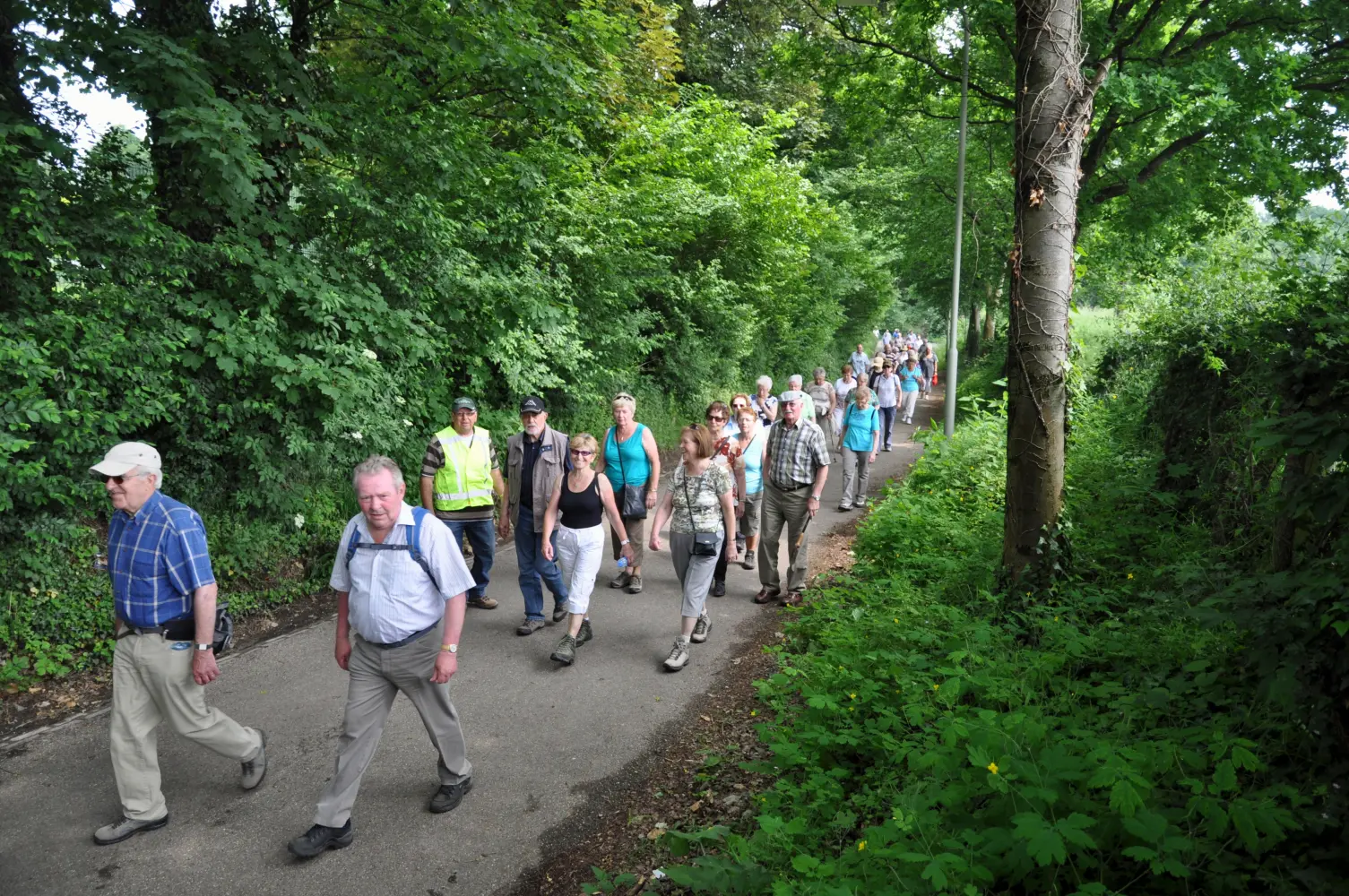 Wandeling Mesch 50 jr. KBO