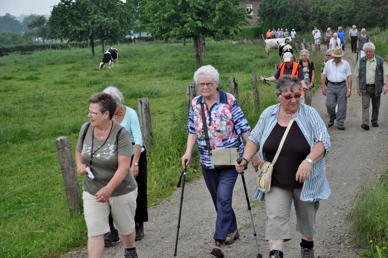Wandeling Mesch 50 jr. KBO